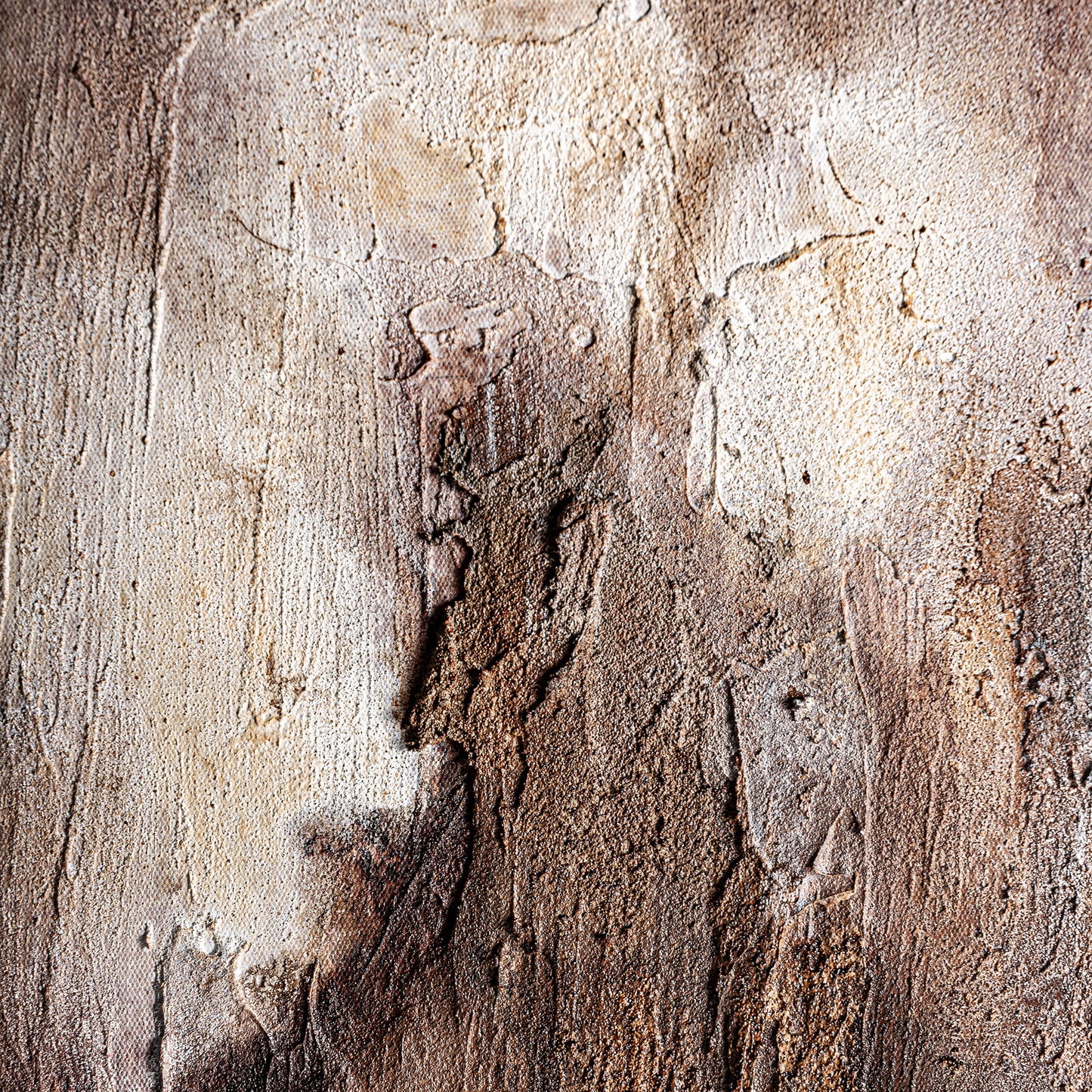 FN=VI35963_35963-02.jpg;SHA256=964d8203dc91a08806a11317eebaad85edf4b58b4160aa8f864101103d426e49