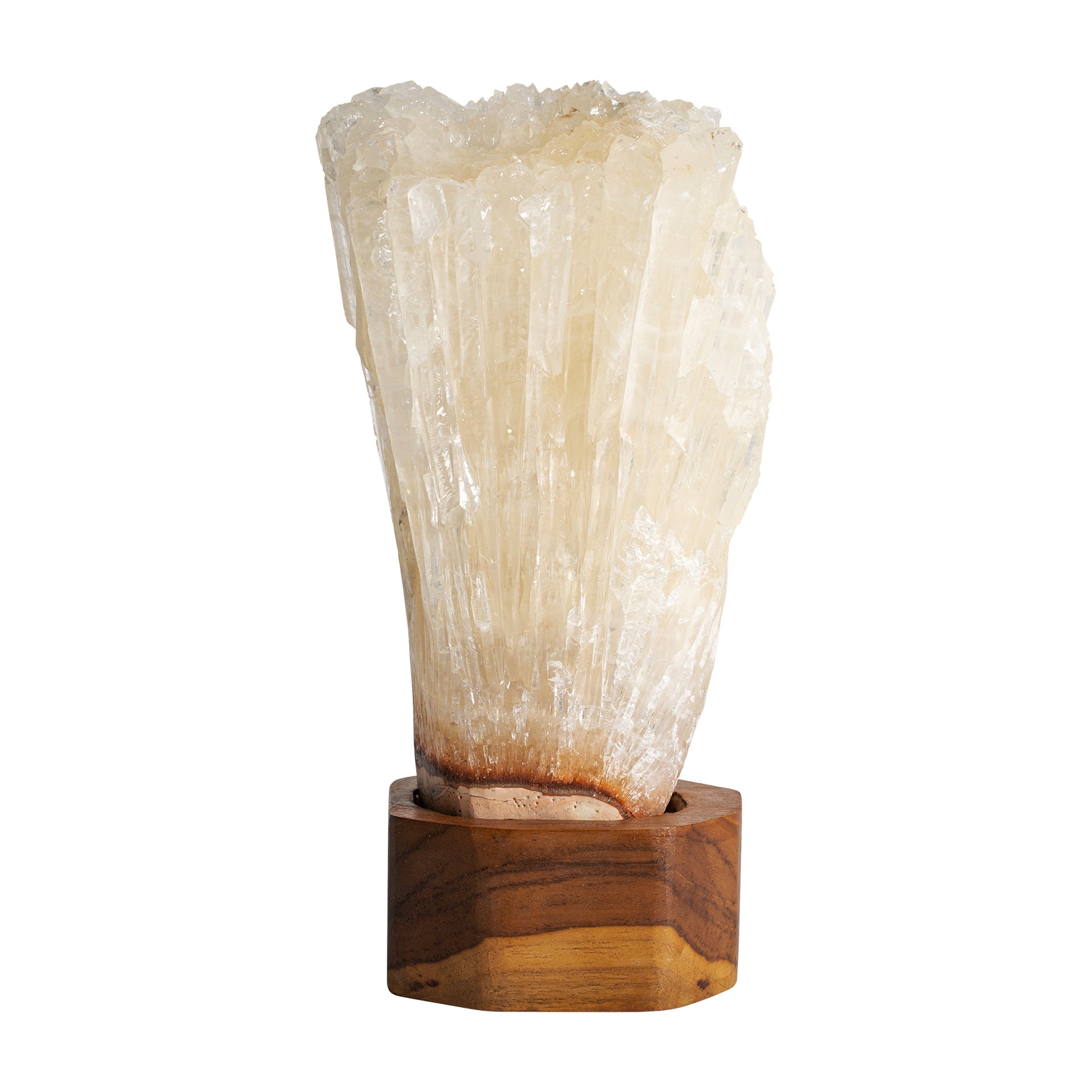 FN=VI36607_36607.jpg;SHA256=a830d2f5d8de7d405c6aacfbdc3b9714b4d7e278bcc551c9110681f50136e19a