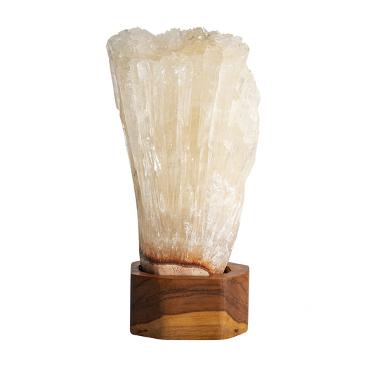 FN=VI36607_36607.jpg;SHA256=a830d2f5d8de7d405c6aacfbdc3b9714b4d7e278bcc551c9110681f50136e19a