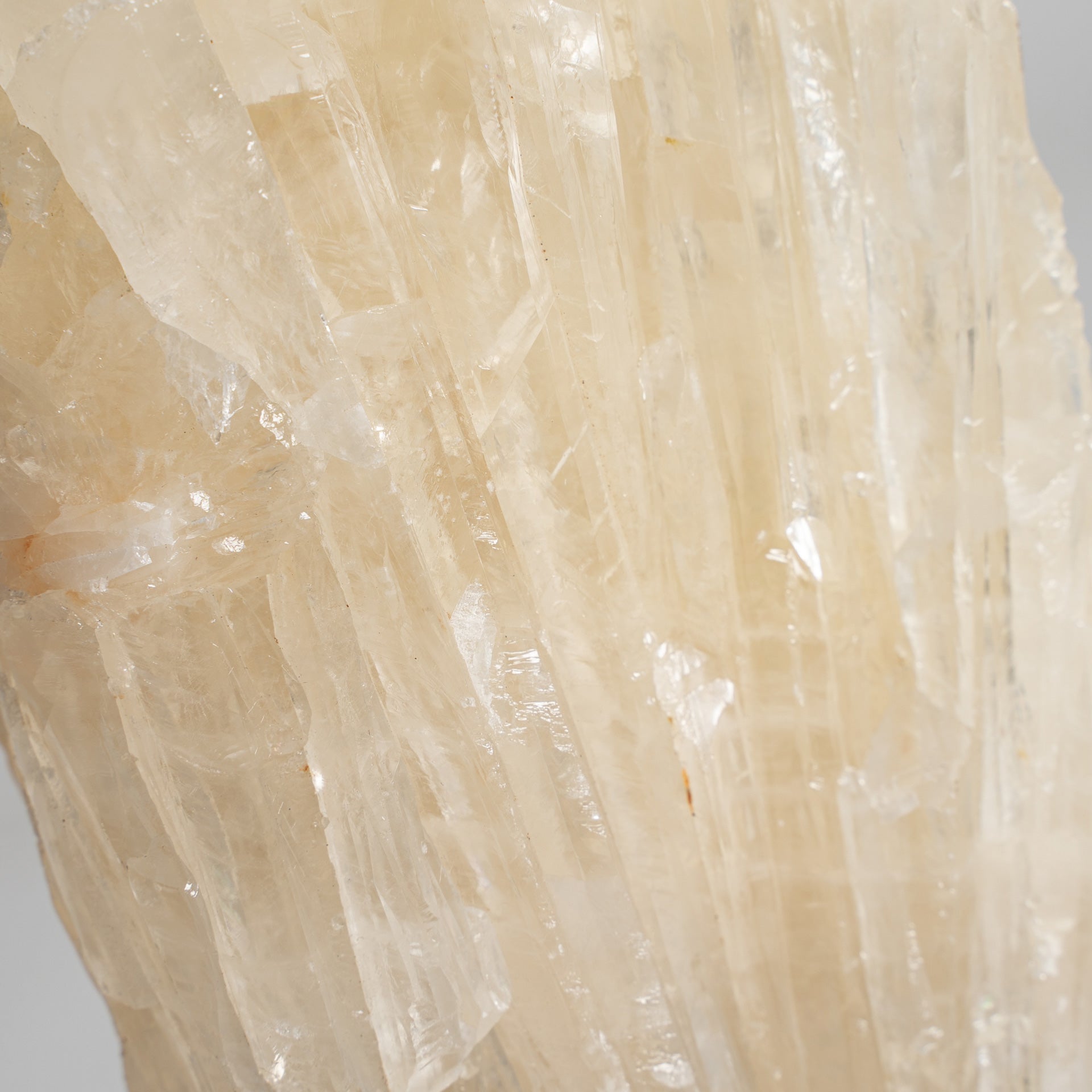 FN=VI36608_36608-01.jpg;SHA256=dd4c835772aaeadebd988e58e43160c693a66c8d1dc049b0297d9e93f480ee1f