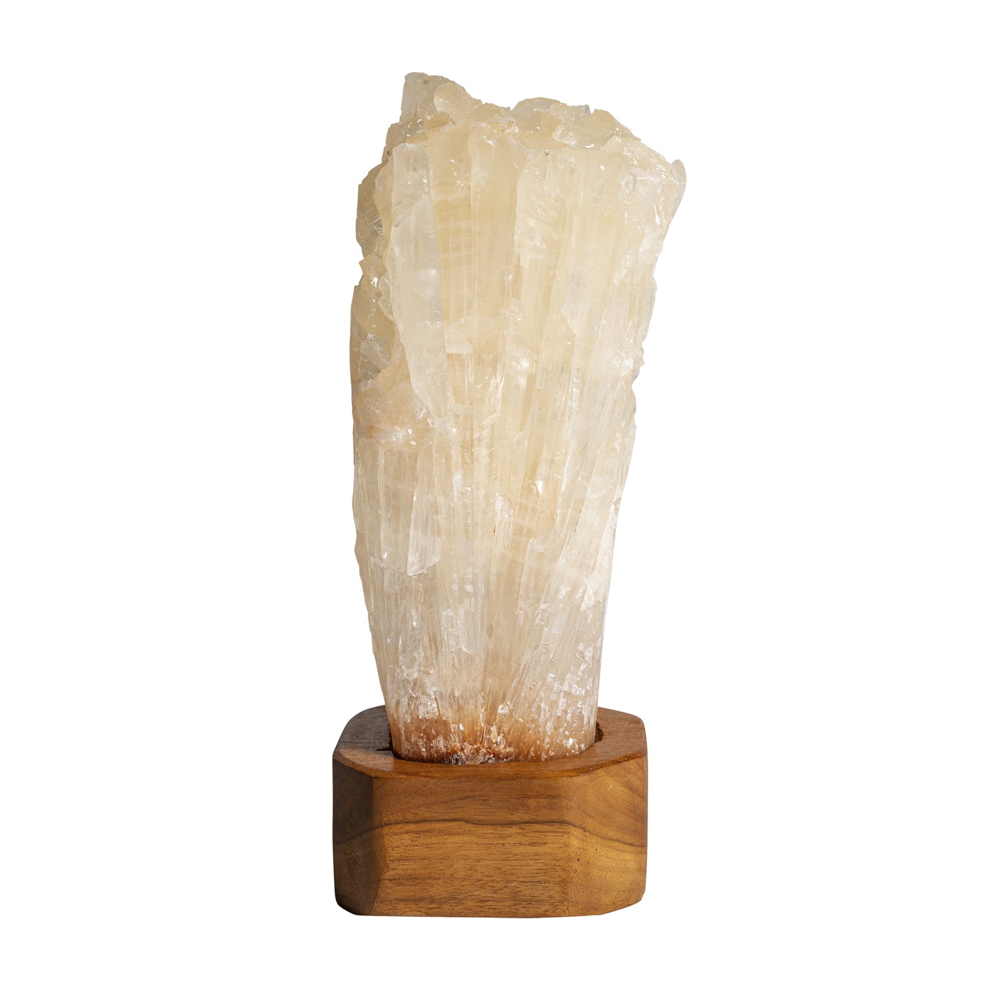 FN=VI36608_36608.jpg;SHA256=57c51a684ec2e518a4e6fe86d19b4394972b09f7b5aaaf1fe3e85987fc2a27ee