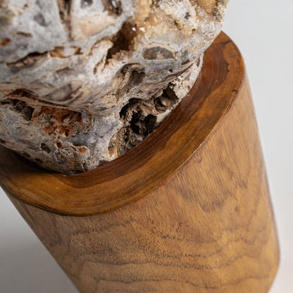 FN=VI36611_36611-03.jpg;SHA256=402d27c3c9ca12f1e363e099f3088ba5a81f64a716257bc381f40920ccccd9e4