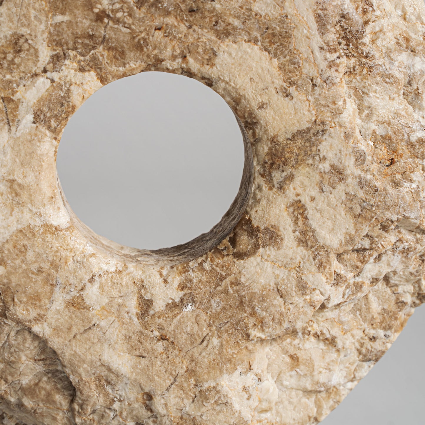 FN=VI36623_36623-02.jpg;SHA256=bf1af10a4d6f557febb1978e3202ba70c67c607658e651e7c03fe0db7a8ed451