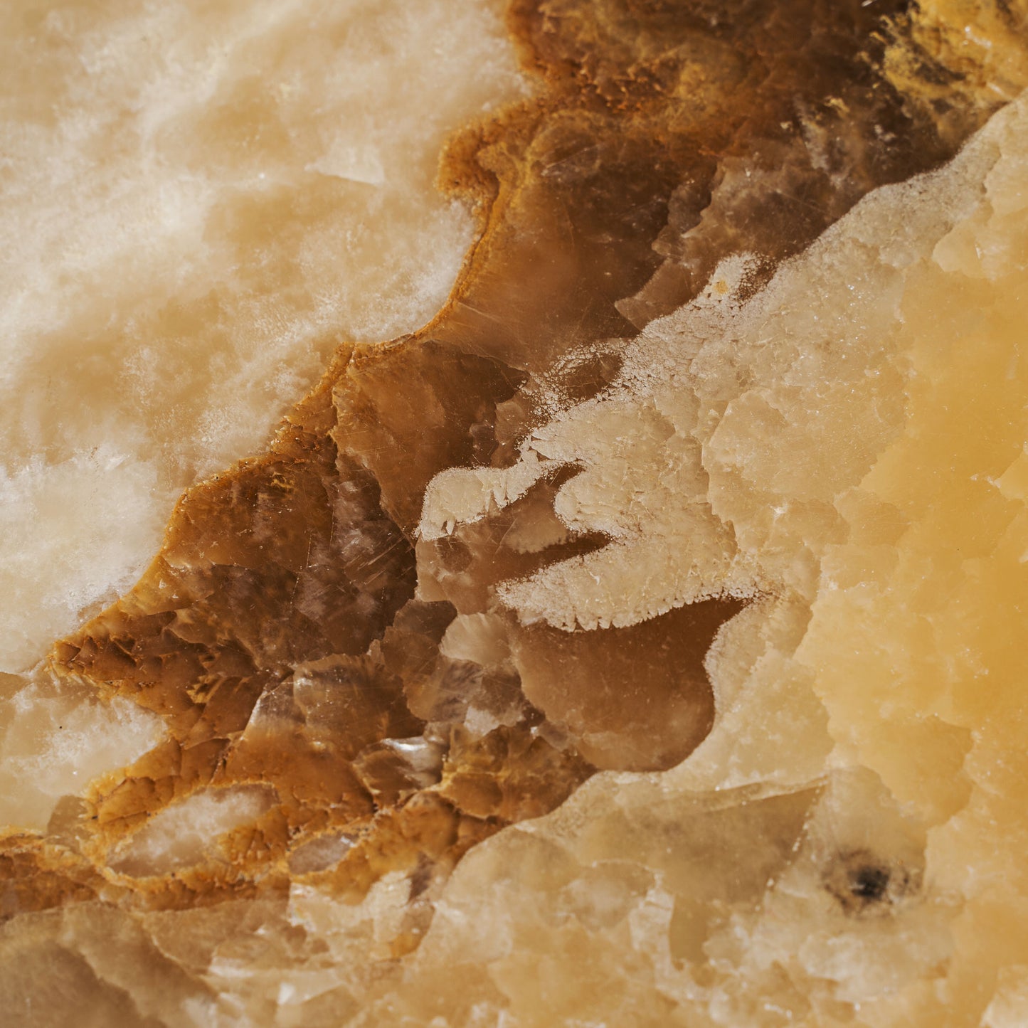 FN=VI36628_36628-03.jpg;SHA256=090e155be2692487e4b0e9eb368fff5adff5112545bd0a44c7f3530eb2e9b01b