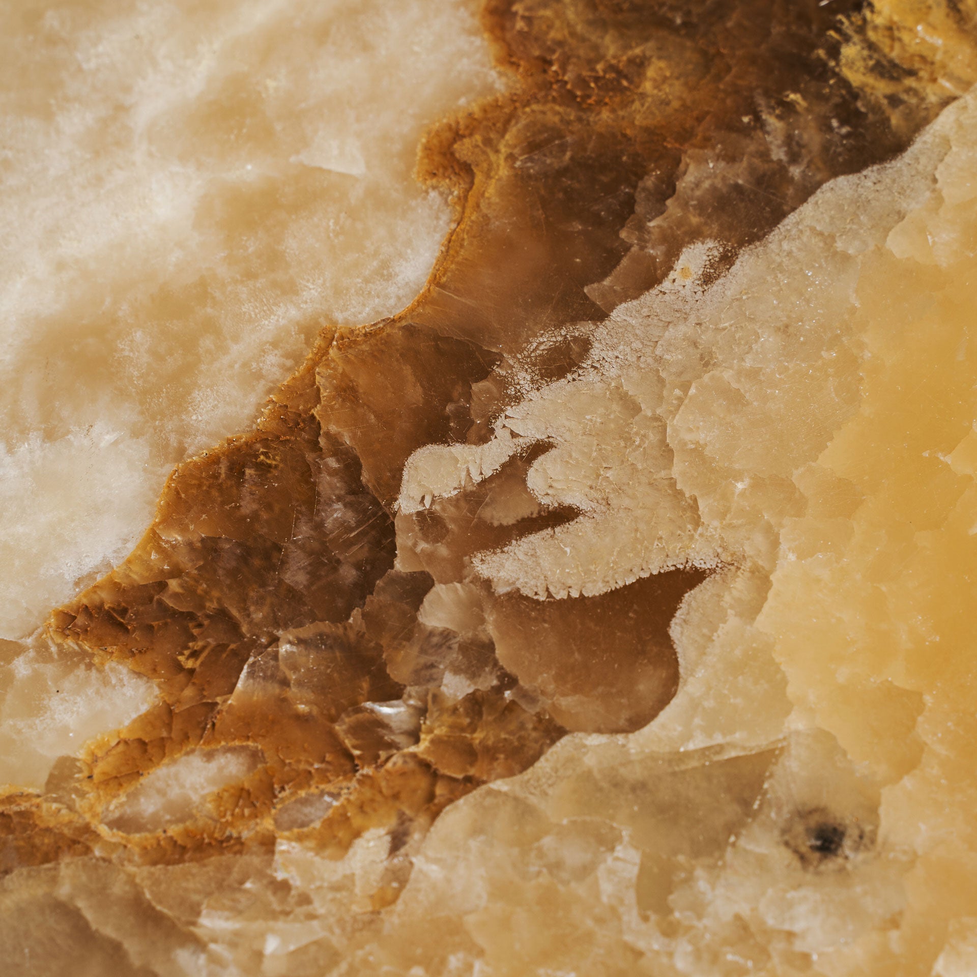 FN=VI36628_36628-03.jpg;SHA256=090e155be2692487e4b0e9eb368fff5adff5112545bd0a44c7f3530eb2e9b01b