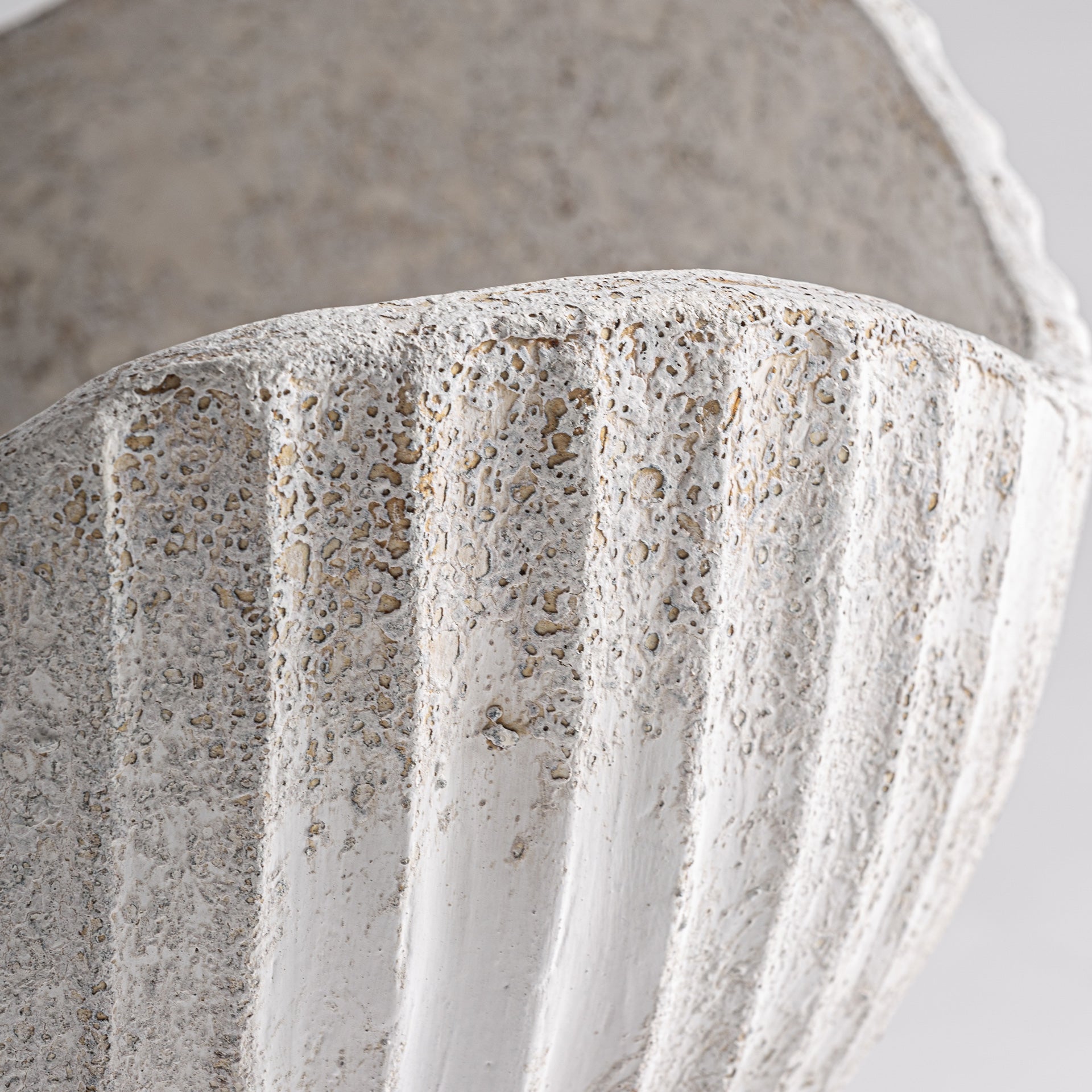 FN=VI36804_36804-01.jpg;SHA256=5f4c90afc829675c9552f4b00e56057f2dbbe57234dd349d95571d4ca359e567