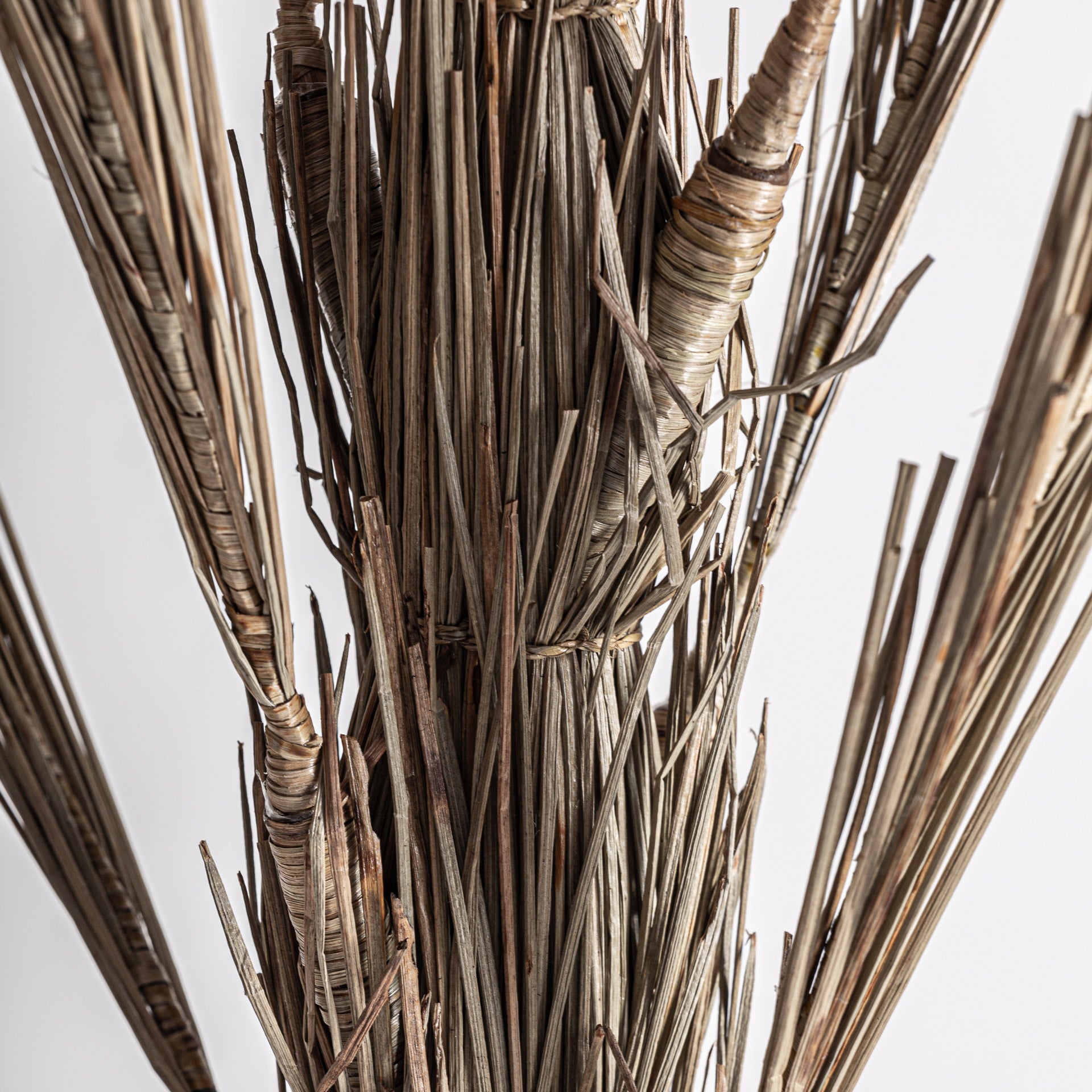 FN=VI36814_36814-02.jpg;SHA256=e47da801db9d5caa9f4bb8d2b81ea2ad0635ef99af66e5c154b940c1c0de7cef