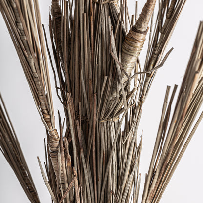 FN=VI36814_36814-02.jpg;SHA256=e47da801db9d5caa9f4bb8d2b81ea2ad0635ef99af66e5c154b940c1c0de7cef