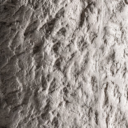 FN=VI36827_36827-02.jpg;SHA256=7a16af8b4d2e31e87b02557eb1c7eafaebd8deddecabd806d987c0338104e92c