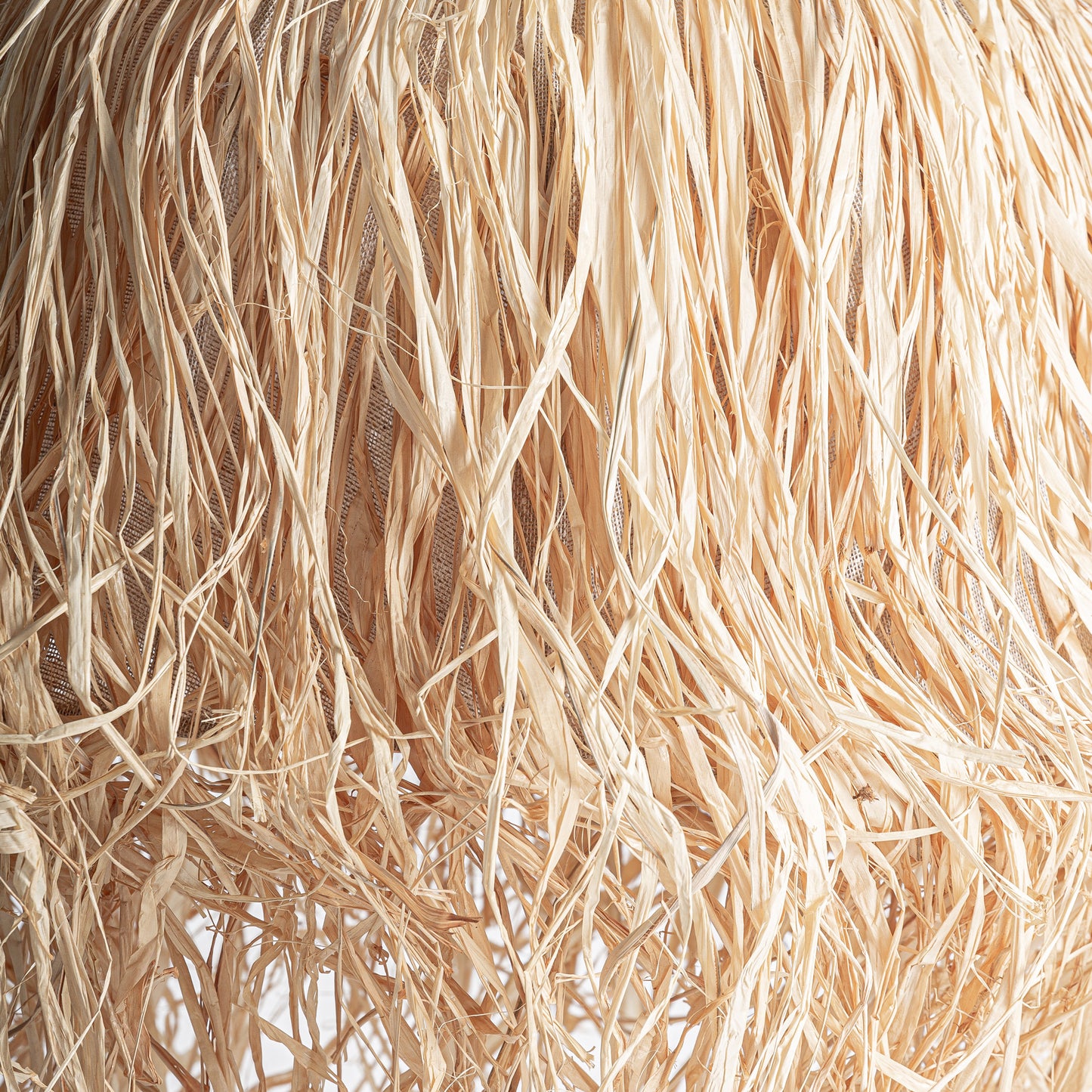 FN=VI36926_36926-02.jpg;SHA256=828dbaaaa981eb00c67b25cf9c2b3b08d7de6b8ac3ba7c4a275109116d84f1d4