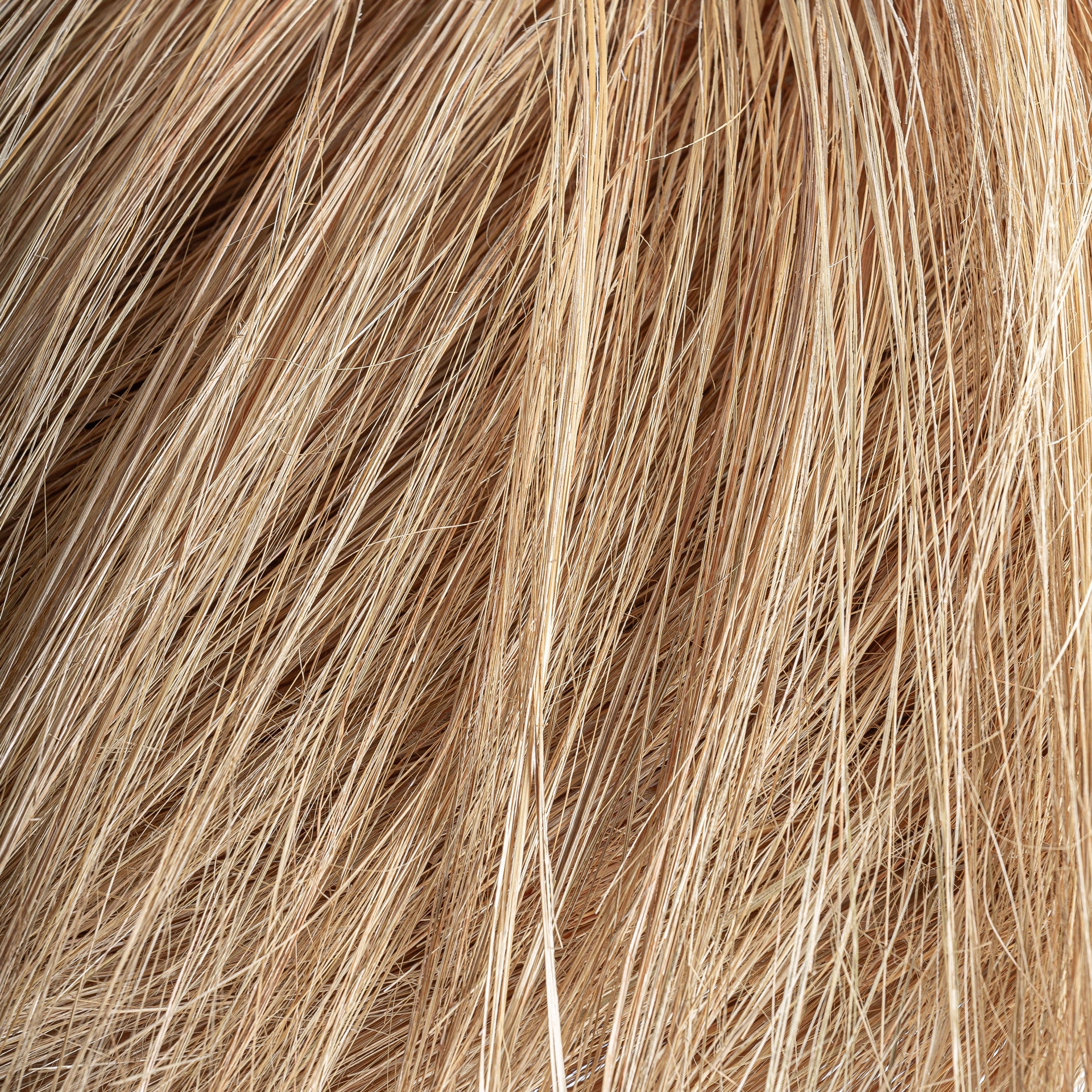 FN=VI36927_36927-02.jpg;SHA256=26f0e69d5bf7441b38d0fd1f00c38022f37ab5019c6763171b7d2fc20ac522a8