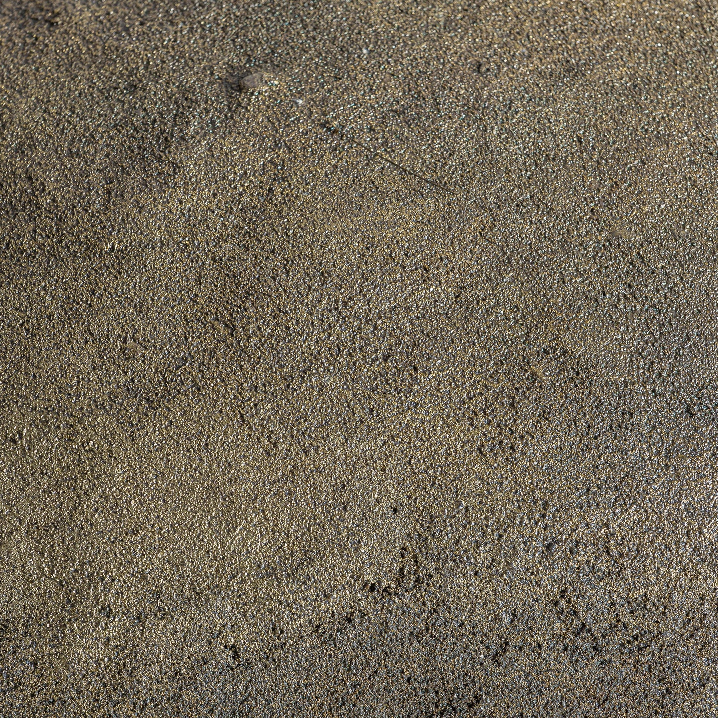 FN=VI36929_36929-03.jpg;SHA256=2bbc3e50311bcc4a9436f34a63bbaa96359a9bc30ac488c8ba4192dc9956ac14