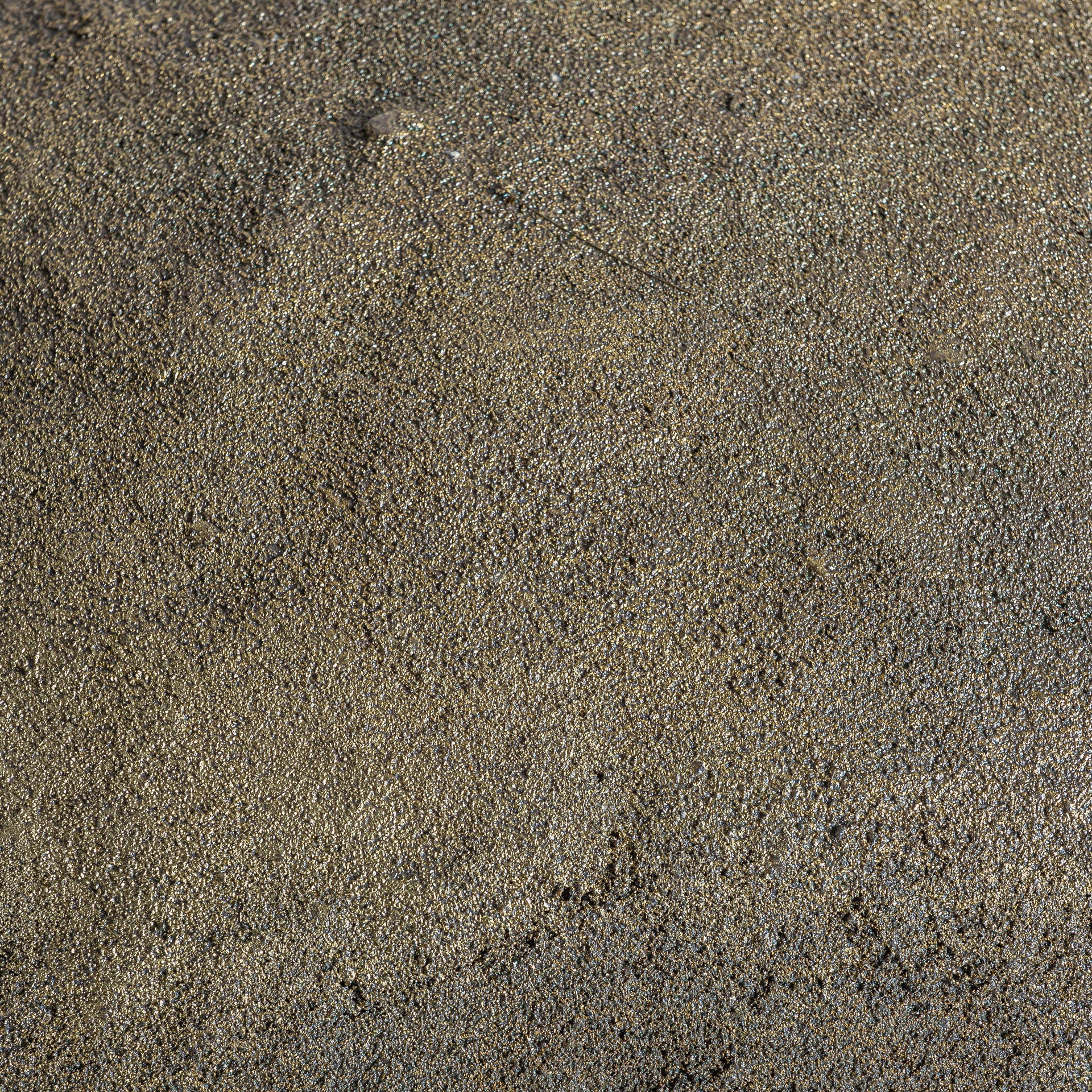 FN=VI36929_36929-03.jpg;SHA256=2bbc3e50311bcc4a9436f34a63bbaa96359a9bc30ac488c8ba4192dc9956ac14