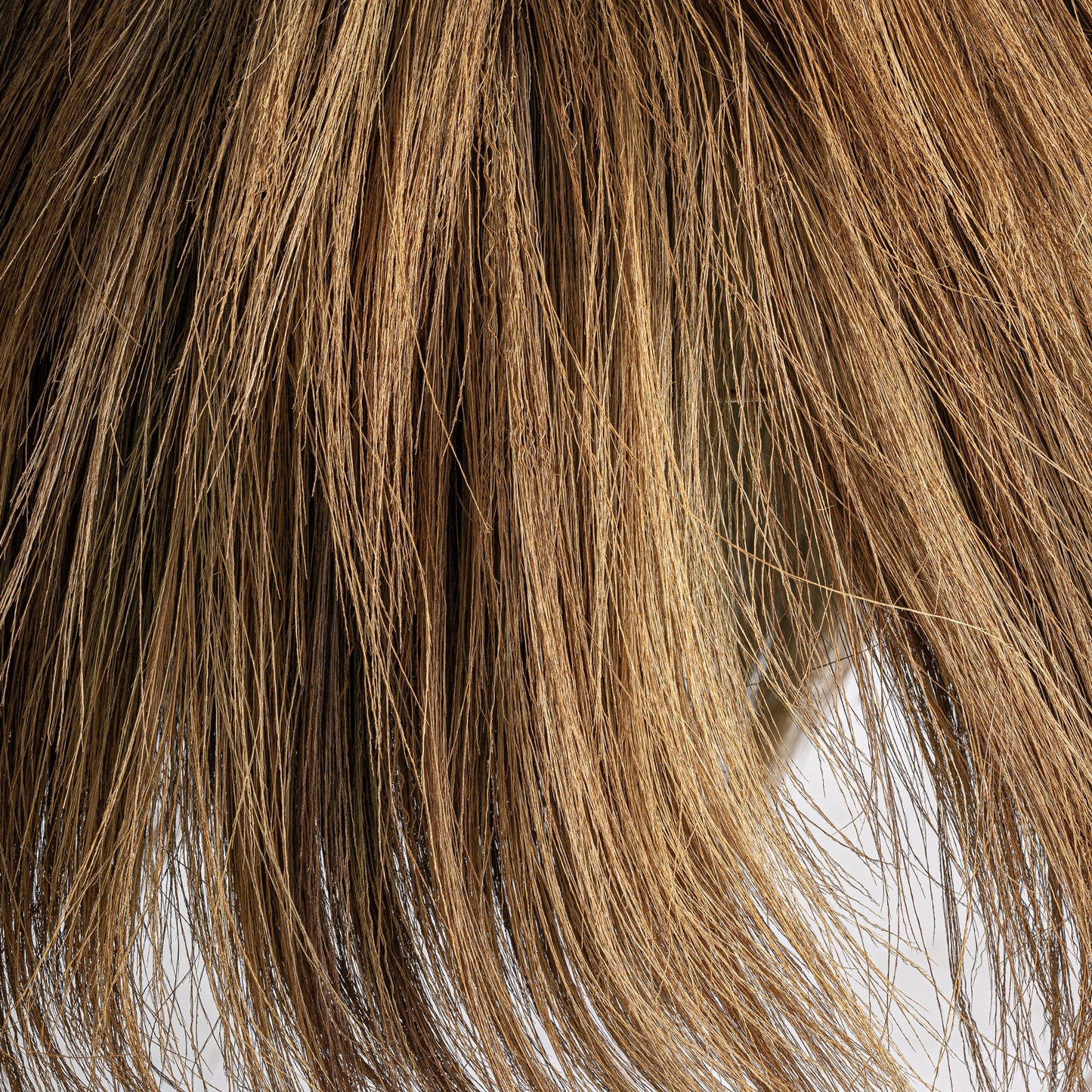 FN=VI37441_37441-03.jpg;SHA256=327d488e7f5ae56ea6a3419ac38f4eb99b91e246eb7c323ddaf20add4efd29c2