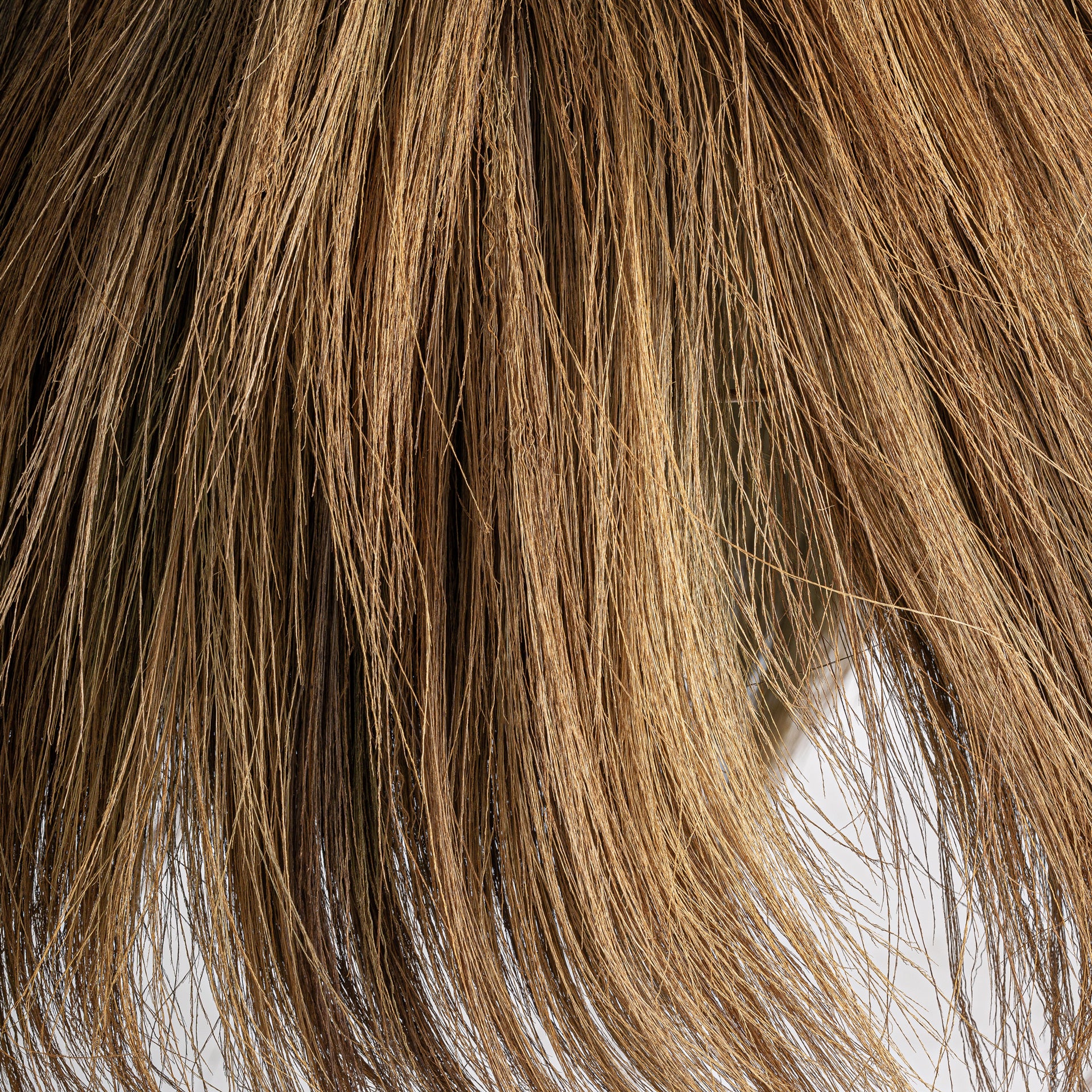 FN=VI37441_37441-03.jpg;SHA256=327d488e7f5ae56ea6a3419ac38f4eb99b91e246eb7c323ddaf20add4efd29c2