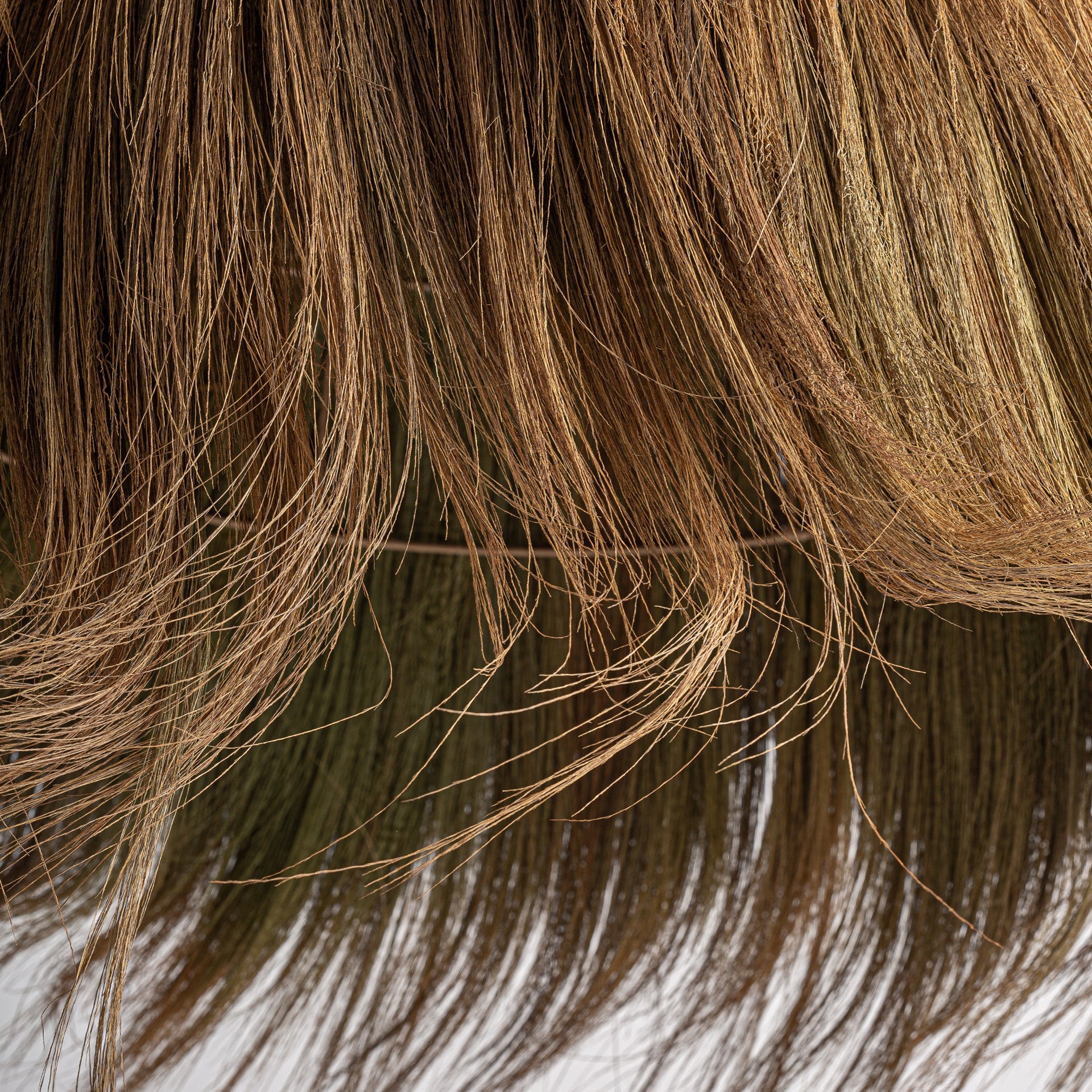 FN=VI37441_37441-04.jpg;SHA256=935daebd3dd964466d8e8dd40416eb174be4ffc0d4402bade3b5d72a2a3ffc7c