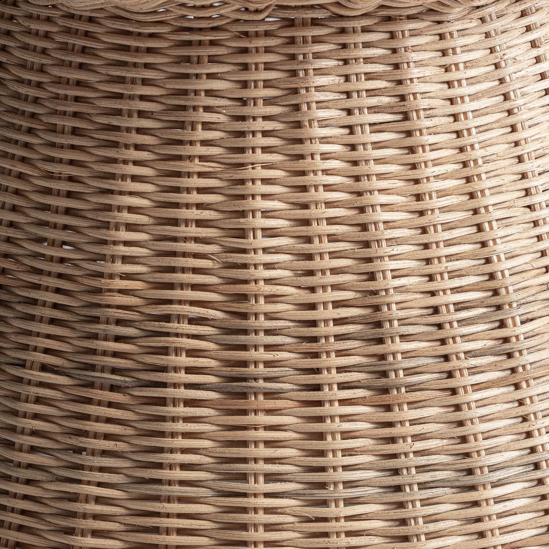 FN=VI37443_37443-02.jpg;SHA256=2a18b811804ab5d12d1deb9890eadb95d2f05e7d42c511215667bc9d6d6c6583