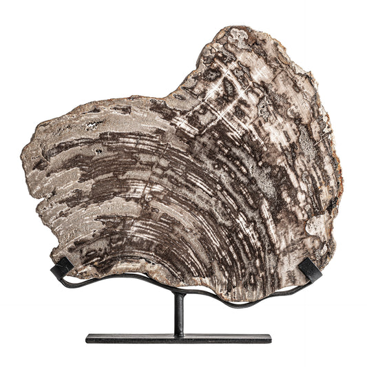 FN=VI37447_37447.jpg;SHA256=1f43319270041c409c7431f204f509d8e8d761f9223c6ea53a0254c5b15871cc