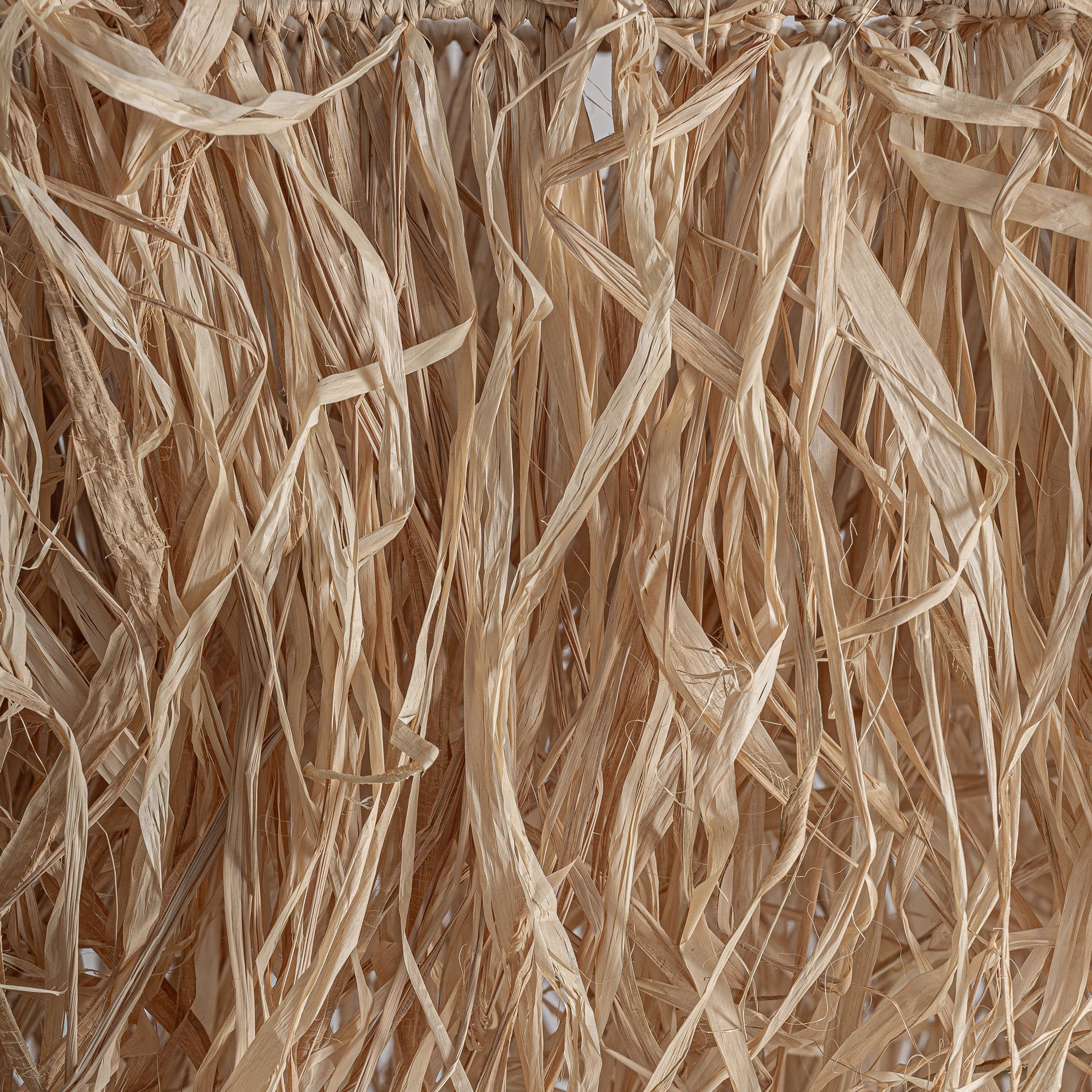 FN=VI37459_37459-01.jpg;SHA256=704c264b670af825dbc15dd1011a356018bdc9f02114180fb8fc4460218d4404