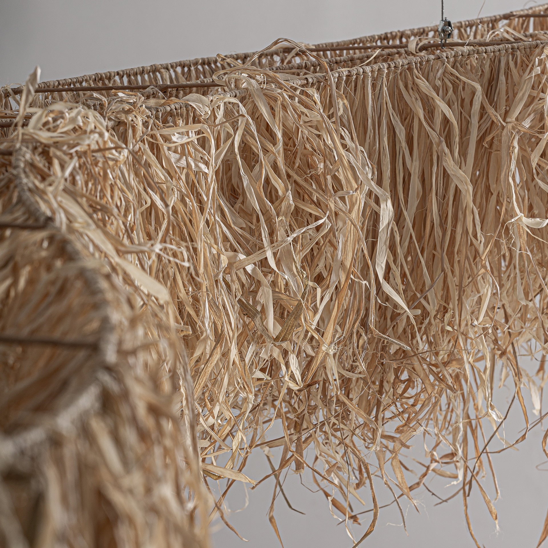 FN=VI37459_37459-02.jpg;SHA256=005ace0d865574f71aa4df709693a0a12212ac8b4f4d66a99efdb2639e0114ec