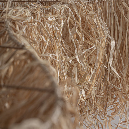 FN=VI37459_37459-03.jpg;SHA256=7b63094c0bfc83541d25f72c53638b330732c41701da840cfccc24341c6925dd