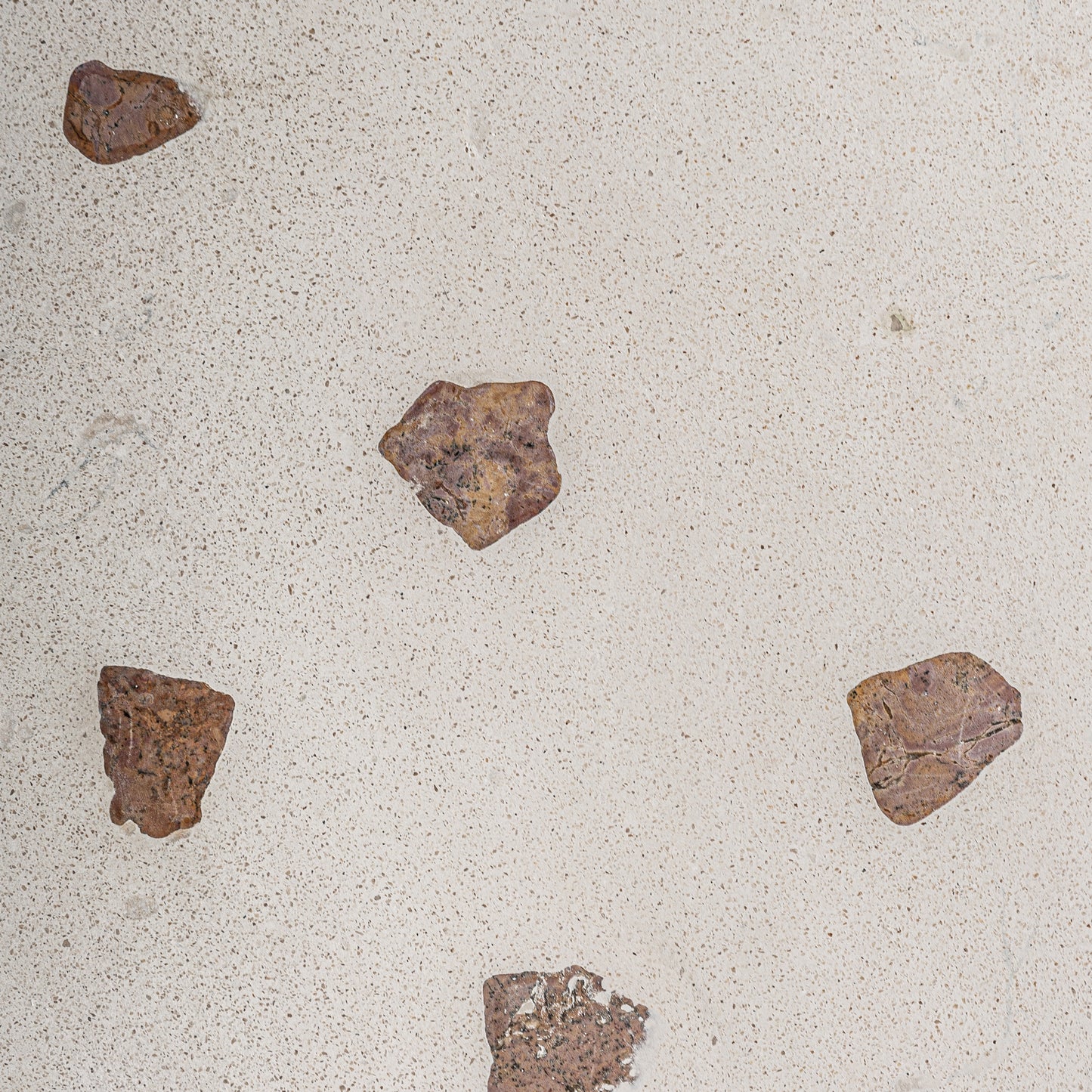 FN=VI37491_37491-02.jpg;SHA256=8451fab2d73c047a7c65b28348707a6f0ce296be22d000fe2620dfaffdc3de45