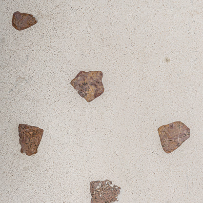 FN=VI37491_37491-02.jpg;SHA256=8451fab2d73c047a7c65b28348707a6f0ce296be22d000fe2620dfaffdc3de45