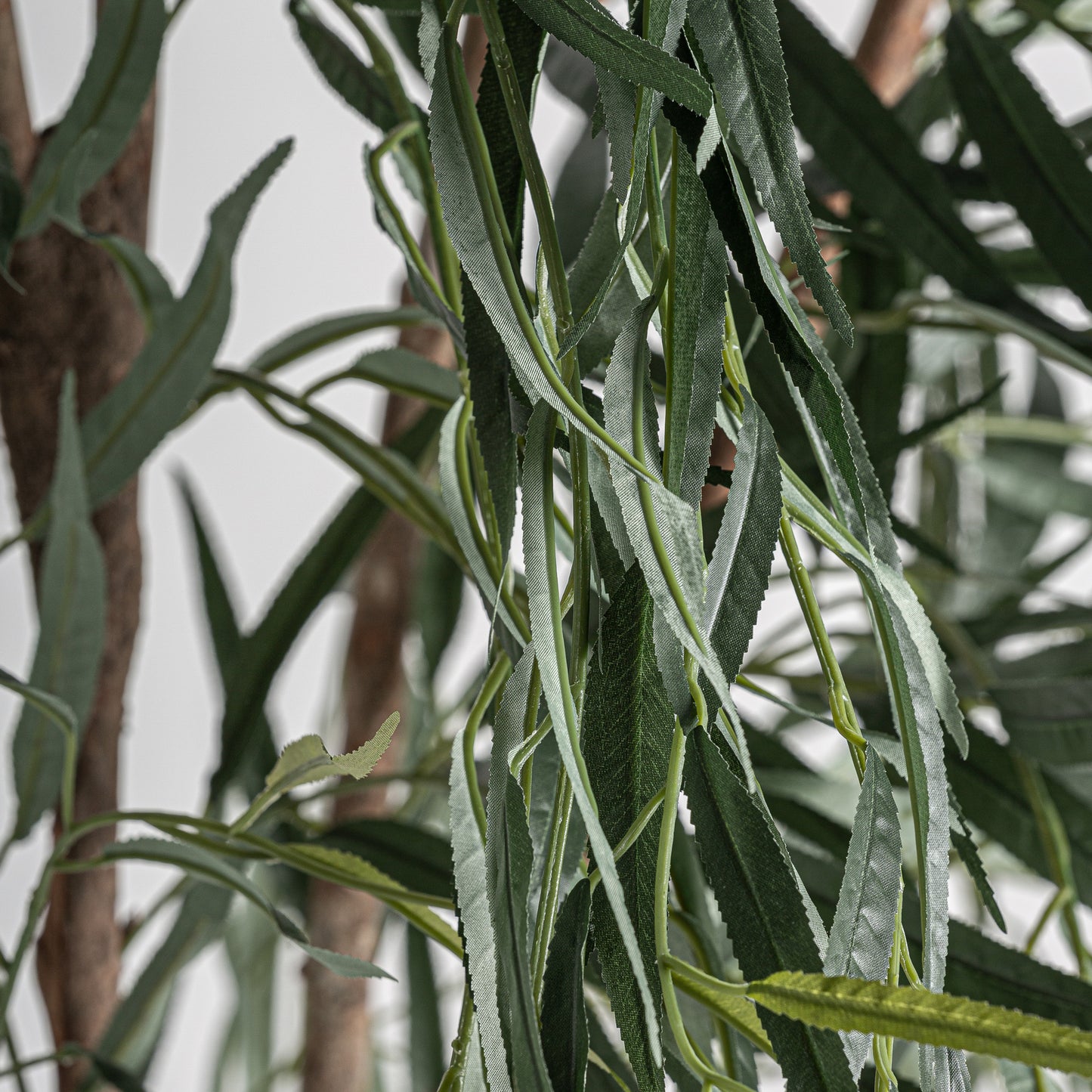 FN=VI37731_37731-01.jpg;SHA256=fa07842414462e34f25b23f733a9be6885f315fd21417beaaab6ffd58451276a