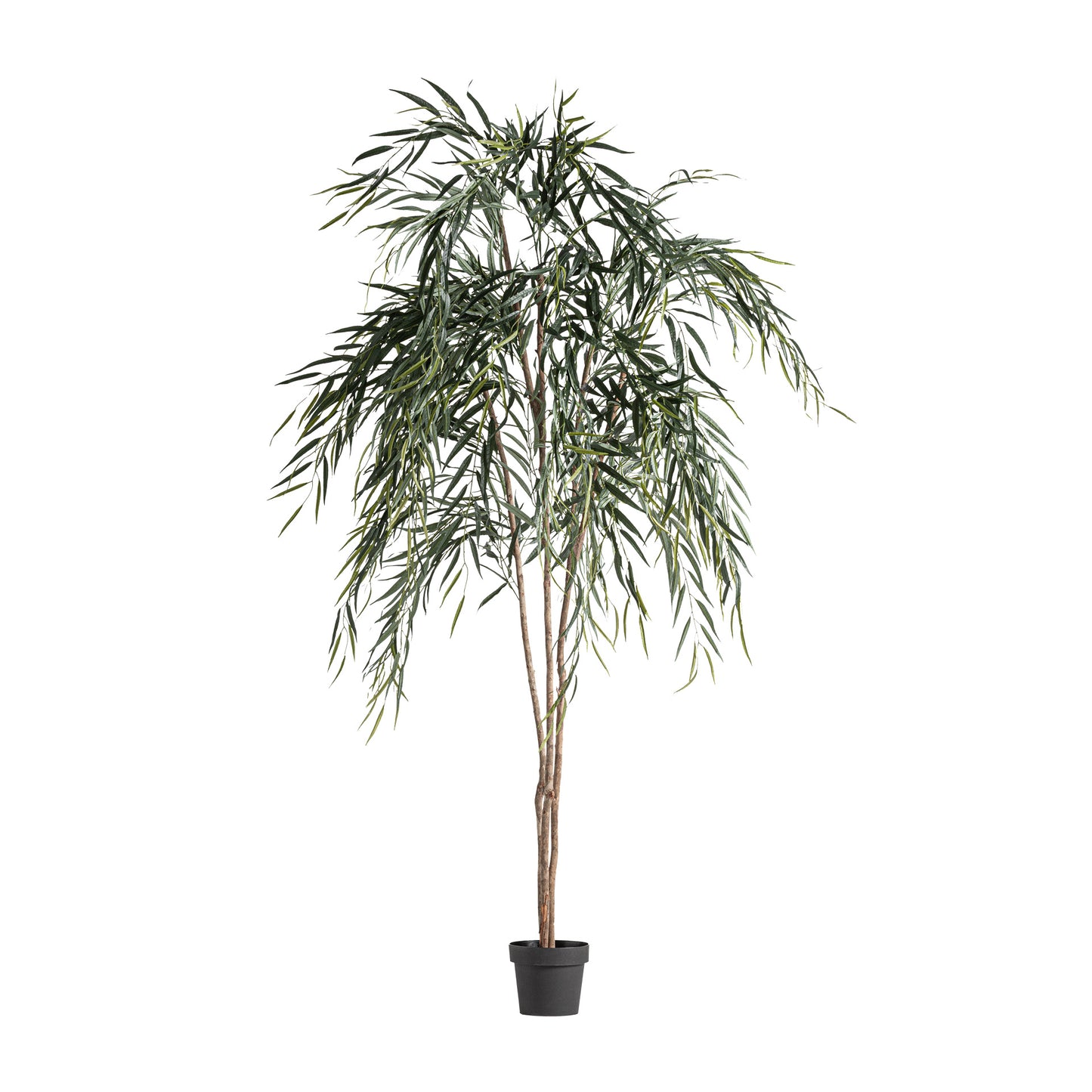 FN=VI37731_37731.jpg;SHA256=18a19d19b76a994ba6d08dfbd61ba25b027b570bcf53e045aea6c8c7cfb6e5bb