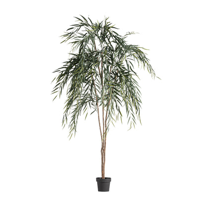 FN=VI37731_37731.jpg;SHA256=18a19d19b76a994ba6d08dfbd61ba25b027b570bcf53e045aea6c8c7cfb6e5bb