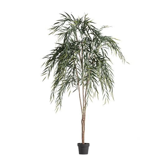 FN=VI37731_37731.jpg;SHA256=18a19d19b76a994ba6d08dfbd61ba25b027b570bcf53e045aea6c8c7cfb6e5bb