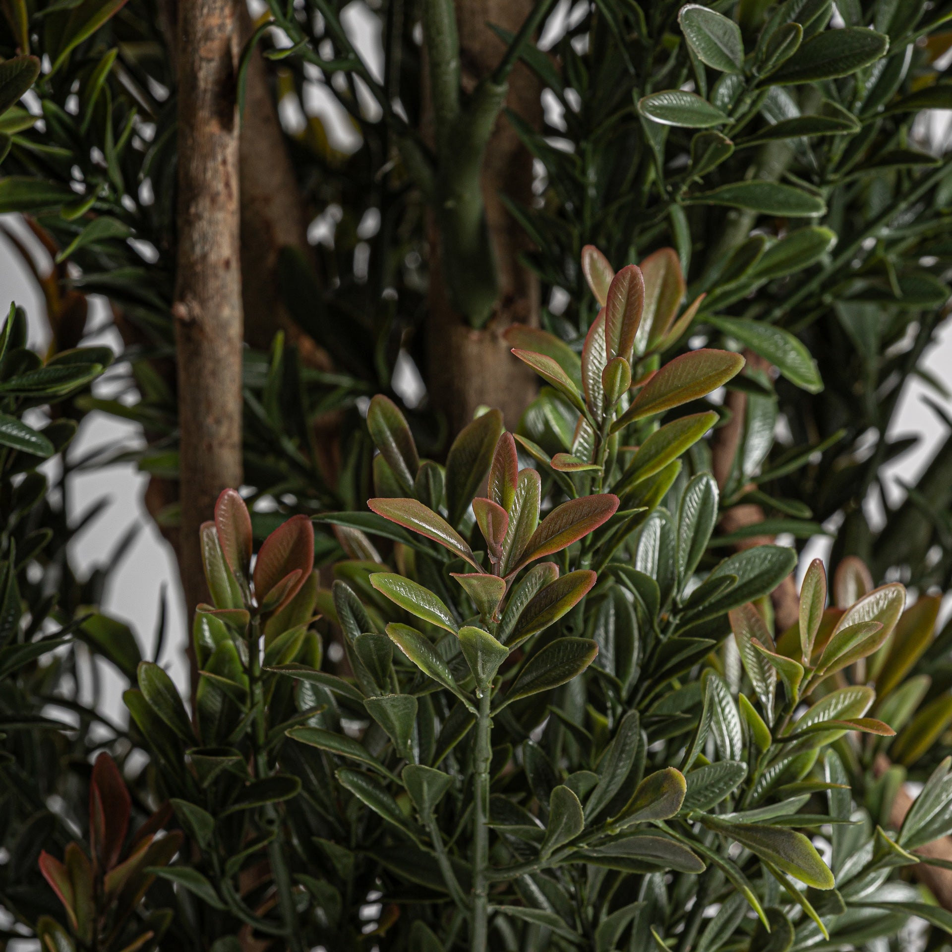 FN=VI37732_37732-01.jpg;SHA256=a372a70924be434675f4e0904b09b712bfec63c8a8339e25a9f81e412d192e92