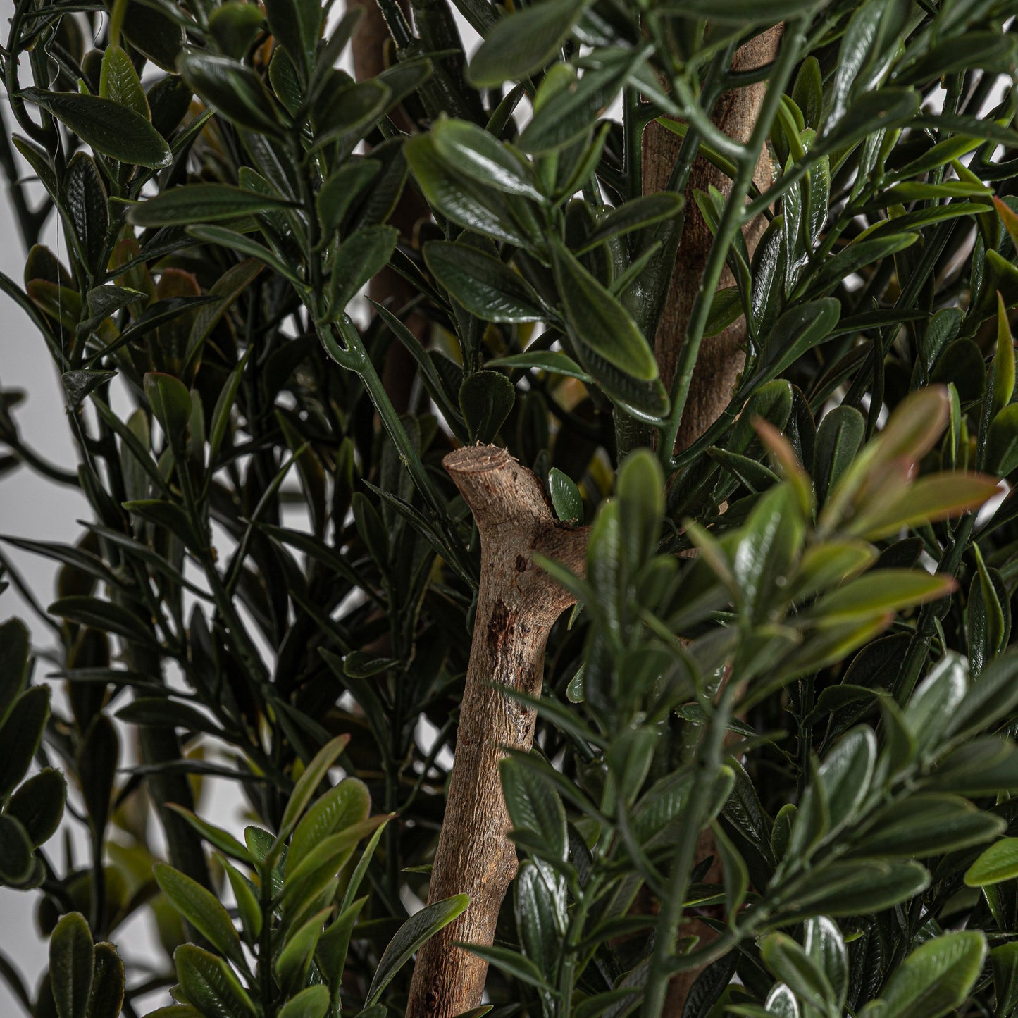 FN=VI37732_37732-02.jpg;SHA256=570391dedd9fac4ccc1a27eb465cdecb7dbe477df5a61d570e1780ad16d1b6a5