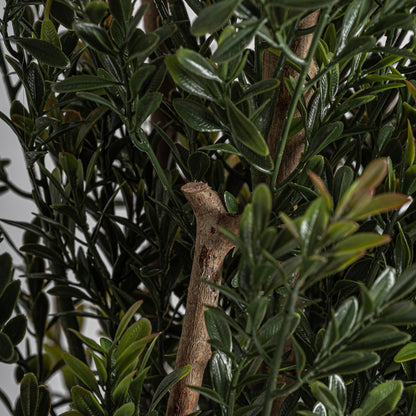 FN=VI37732_37732-02.jpg;SHA256=570391dedd9fac4ccc1a27eb465cdecb7dbe477df5a61d570e1780ad16d1b6a5