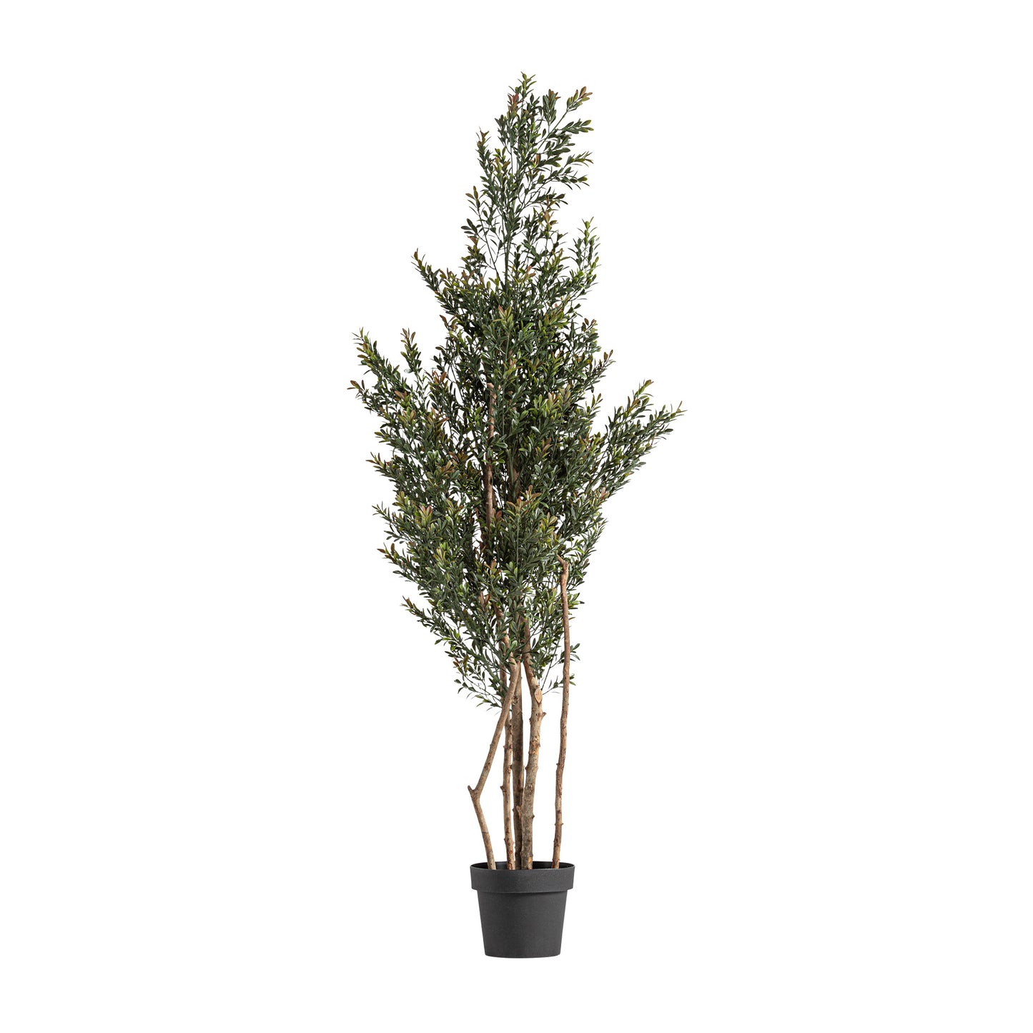 FN=VI37732_37732.jpg;SHA256=bdde6fdce01eae6b9c0c729e7e7a607d5be782c9296daff92a273b0b2bc7141e