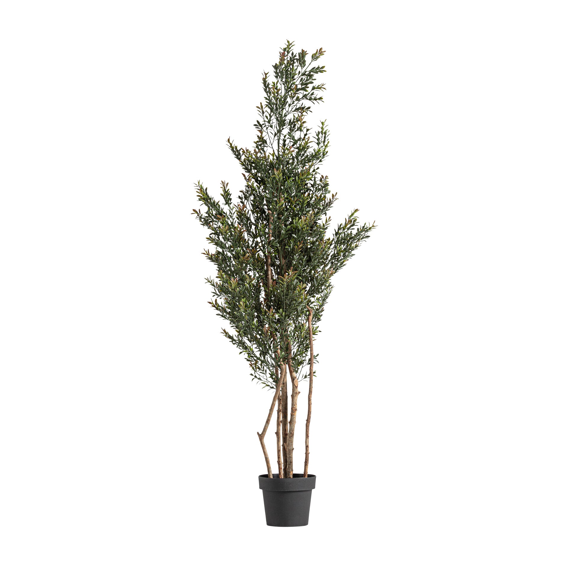 FN=VI37732_37732.jpg;SHA256=bdde6fdce01eae6b9c0c729e7e7a607d5be782c9296daff92a273b0b2bc7141e