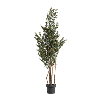 FN=VI37732_37732.jpg;SHA256=bdde6fdce01eae6b9c0c729e7e7a607d5be782c9296daff92a273b0b2bc7141e