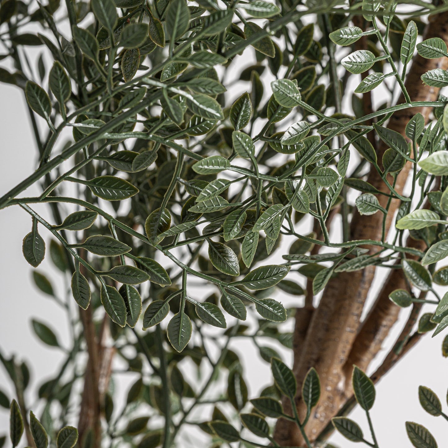 FN=VI37734_37734-01.jpg;SHA256=05fe6860a9d58f9fd9caf65efcaf5e383b7be16ca083a607721159f5ef91bed8