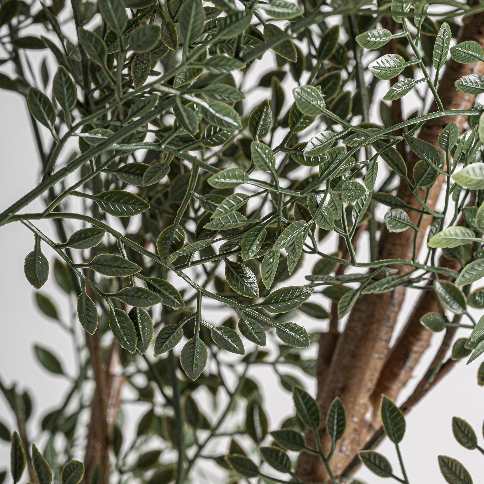 FN=VI37734_37734-01.jpg;SHA256=05fe6860a9d58f9fd9caf65efcaf5e383b7be16ca083a607721159f5ef91bed8