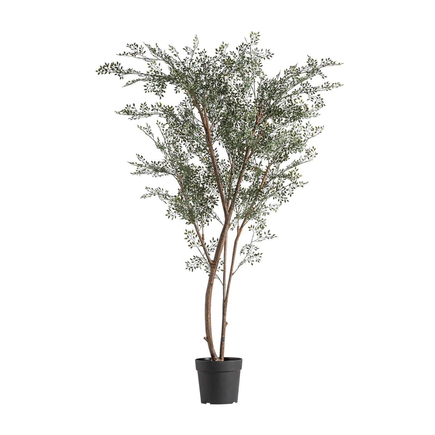 FN=VI37734_37734.jpg;SHA256=adbeebad1cf4543f26dd9b70880ceb6313de36b9de5457735a17a7599949ab66