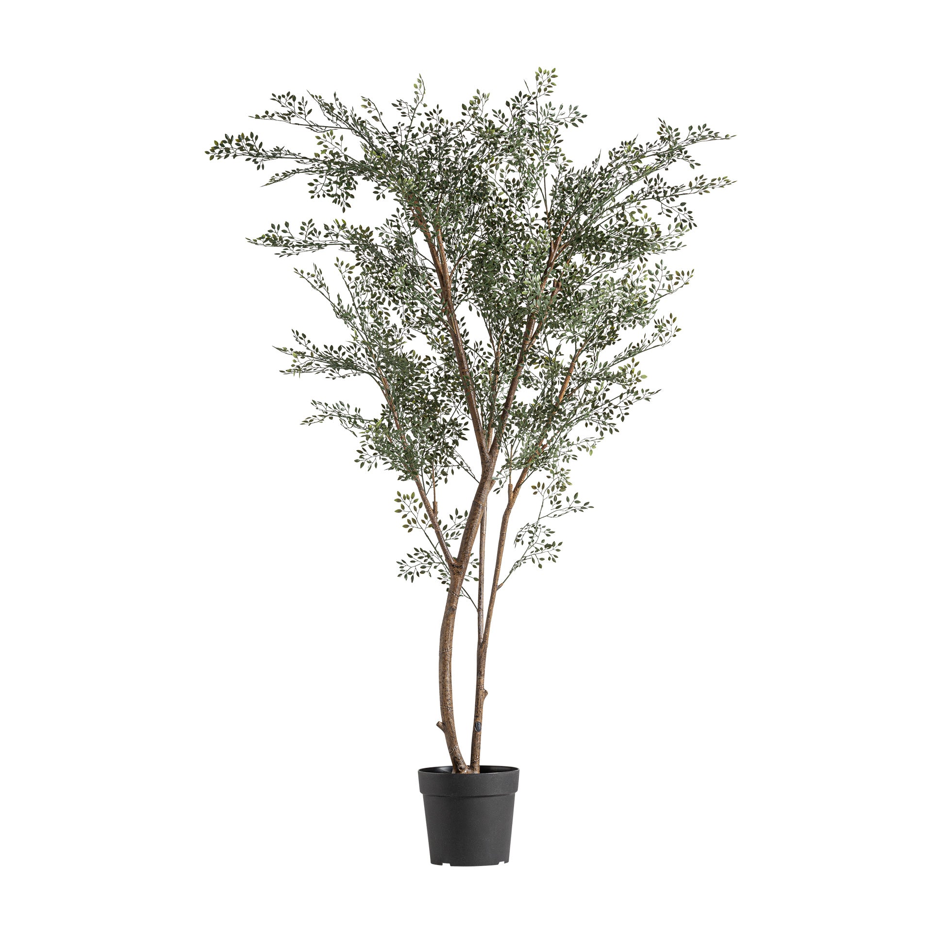 FN=VI37734_37734.jpg;SHA256=adbeebad1cf4543f26dd9b70880ceb6313de36b9de5457735a17a7599949ab66