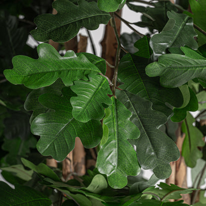 FN=VI37735_37735-01.jpg;SHA256=5d6dd64ab424bb46ec371cf58c8d3add6805a6ada21f0e3b676ce6293a4b4487