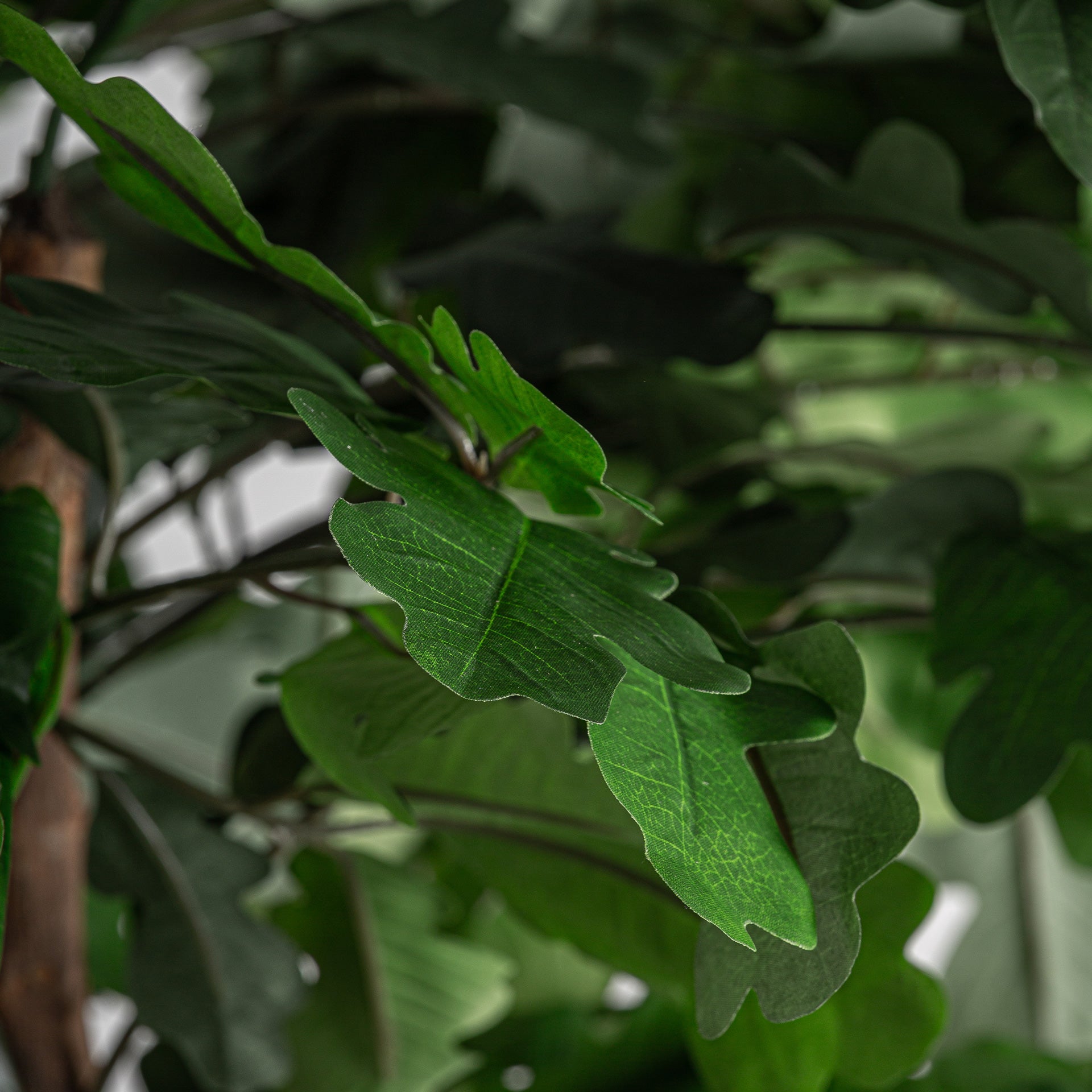 FN=VI37735_37735-02.jpg;SHA256=3196b9c6e705b4a3325f006d311aae1a0d565b236d8da6807eaef1c02c743a6d