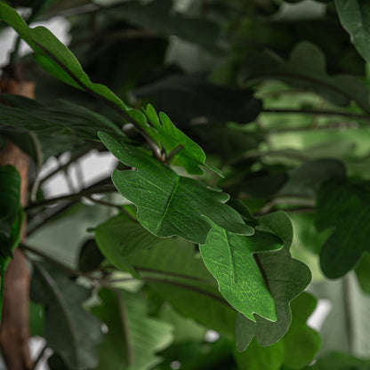 FN=VI37735_37735-02.jpg;SHA256=3196b9c6e705b4a3325f006d311aae1a0d565b236d8da6807eaef1c02c743a6d