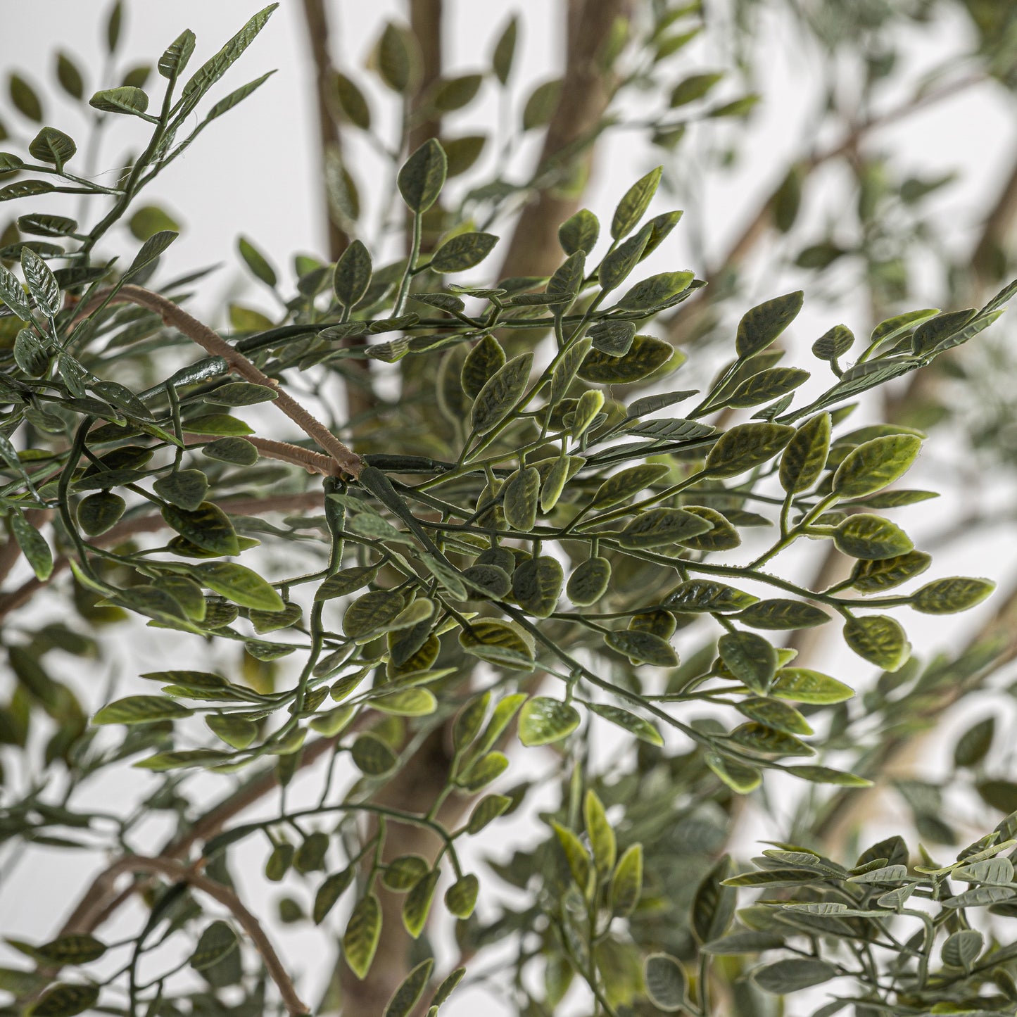 FN=VI37737_37737-01.jpg;SHA256=e977701fdbcb9d9b9f5430267cc5516cf3c830ccd987ef4c4b7896c4e3597a58