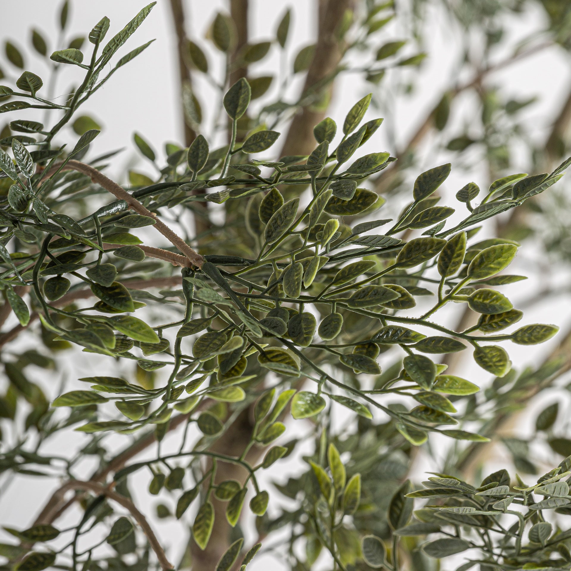 FN=VI37737_37737-01.jpg;SHA256=e977701fdbcb9d9b9f5430267cc5516cf3c830ccd987ef4c4b7896c4e3597a58