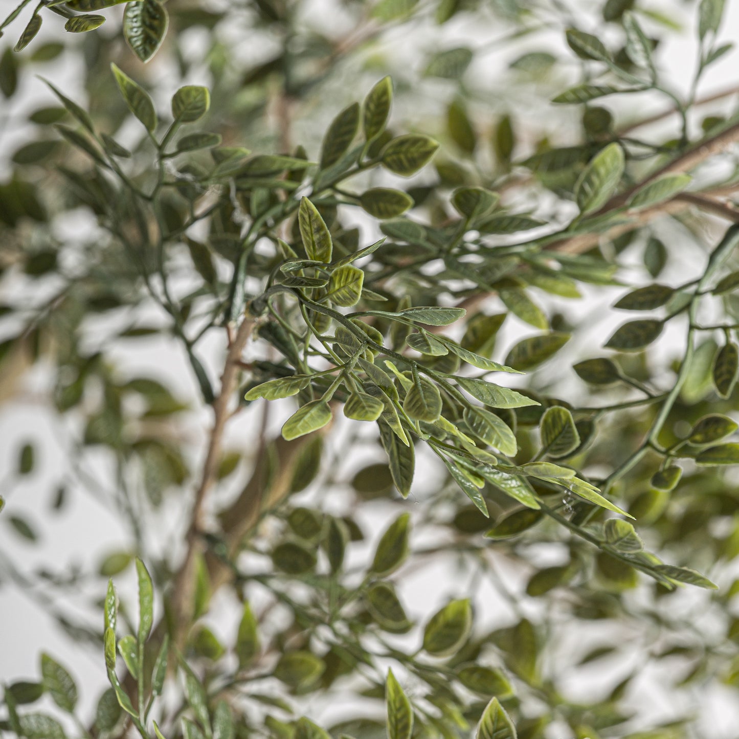 FN=VI37737_37737-02.jpg;SHA256=74d7e51ef15ea34592eed75ad69e552cdf68f5c72732f766711b2dfbeafa8dbb