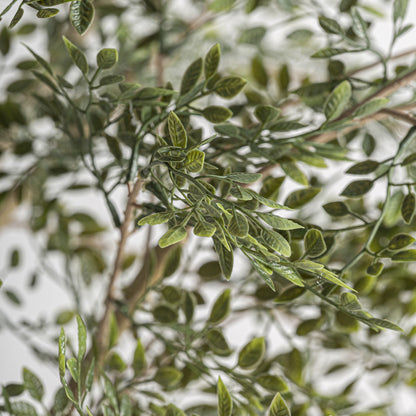 FN=VI37737_37737-02.jpg;SHA256=74d7e51ef15ea34592eed75ad69e552cdf68f5c72732f766711b2dfbeafa8dbb