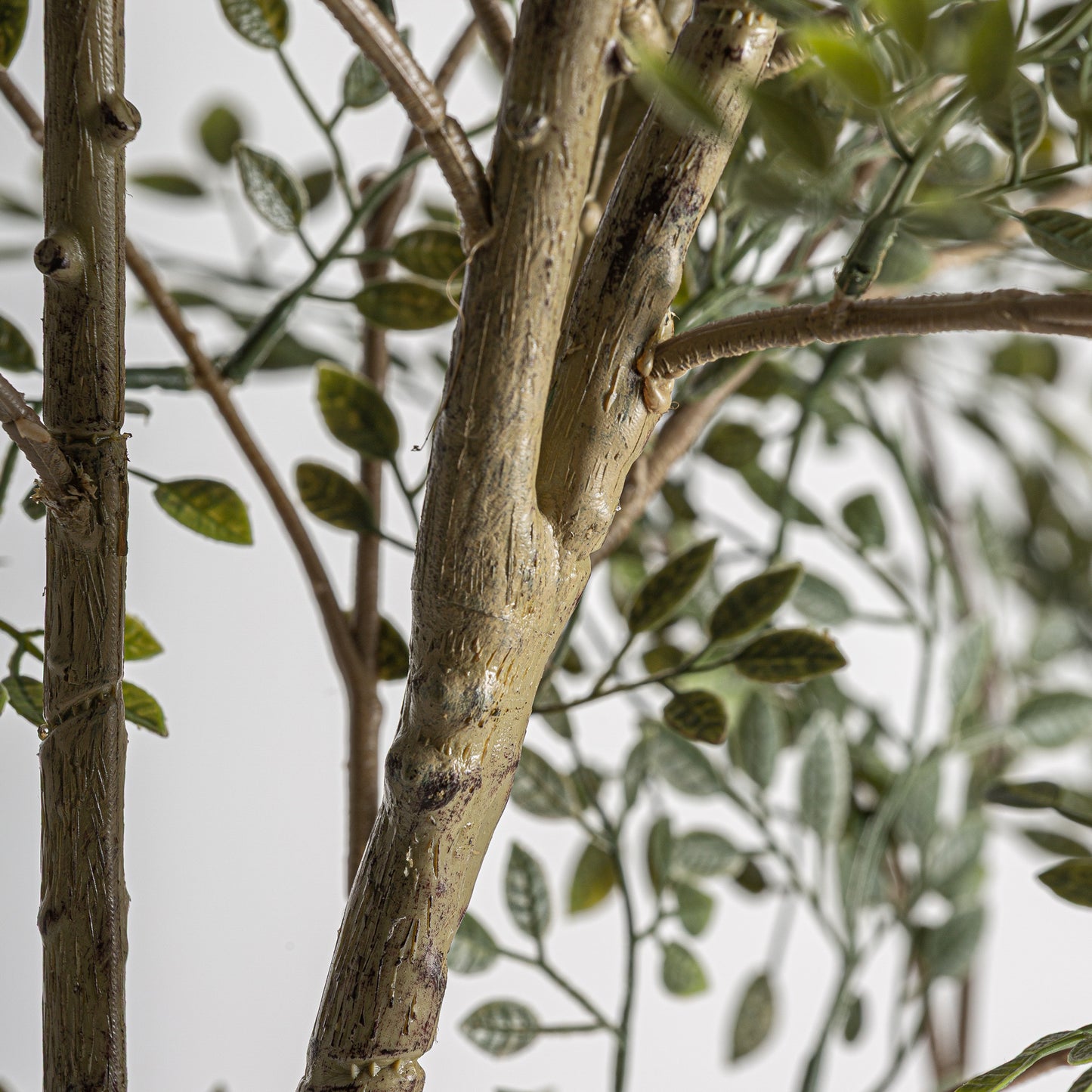 FN=VI37737_37737-03.jpg;SHA256=e7fe9042d34b66389dd12d5040ed21de7021d335fd6ea1d2d255454fbc12e565