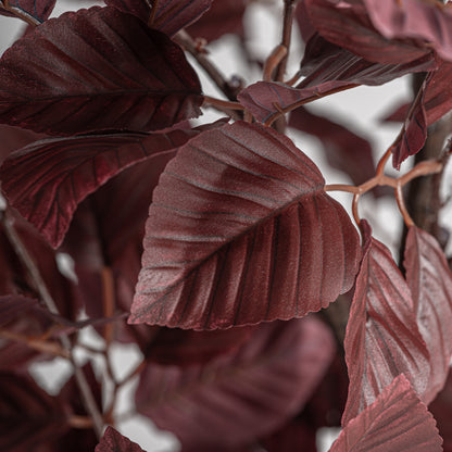 FN=VI37738_37738-01.jpg;SHA256=7363829a263628020c03cbf1a6c480f63376cdd50441406b46815ae95e892da3